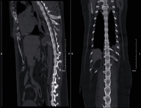 Imagine One Vet - New Edition