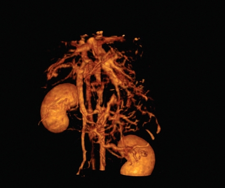 Imagine One Vet - New Edition