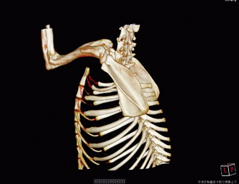 Imagine One Vet - New Edition