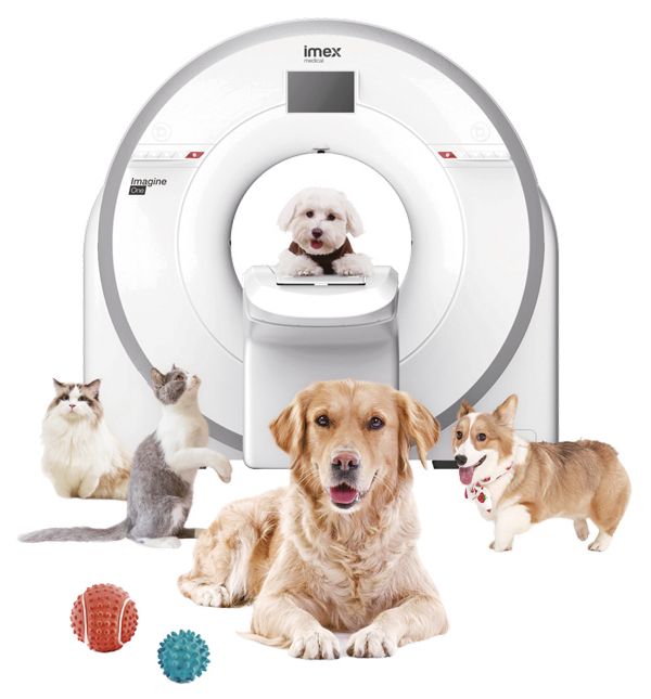 Imagine One Vet - New Edition